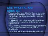 Aplinka be tabako dūmų 12 puslapis