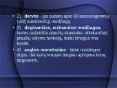 Aplinka be tabako dūmų 13 puslapis