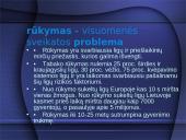 Aplinka be tabako dūmų 6 puslapis