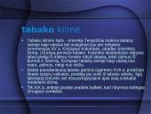 Aplinka be tabako dūmų 7 puslapis