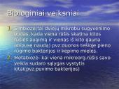 Aplinkos įtaka mikroorganizmams 7 puslapis