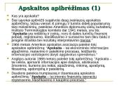 Apskaitos sąvoka 2 puslapis