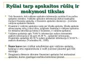 Apskaitos sąvoka 15 puslapis