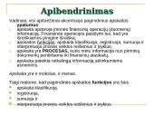 Apskaitos sąvoka 5 puslapis