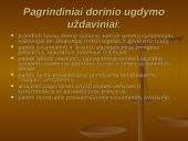 Asmenybės ugdymas 4 puslapis