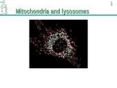 ATP Production 11 puslapis