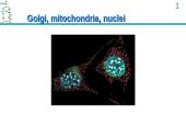 ATP Production 12 puslapis