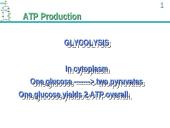 ATP Production 16 puslapis