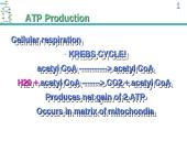ATP Production 20 puslapis