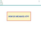 ATP Production 3 puslapis