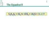 ATP Production 6 puslapis