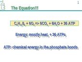 ATP Production 7 puslapis