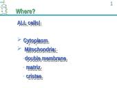 ATP Production 9 puslapis