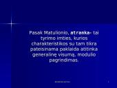 Atrankiniai tyrimai 2 puslapis