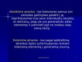 Atrankiniai tyrimai 13 puslapis