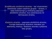 Atrankiniai tyrimai 14 puslapis