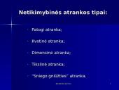 Atrankiniai tyrimai 15 puslapis