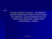 Atrankiniai tyrimai 18 puslapis