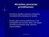 Atrankiniai tyrimai 4 puslapis