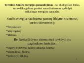 Saulės ir vėjo energija 9 puslapis