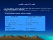 Audito rūšys, klasifikavimas bei jo būtinumas 3 puslapis