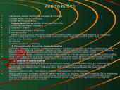 Audito rūšys, klasifikavimas bei jo būtinumas 5 puslapis