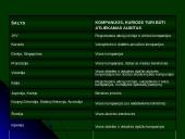 Audito rūšys, klasifikavimas bei jo būtinumas 10 puslapis