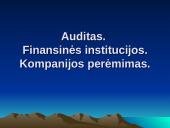 Auditas. Finansinės institucijos. Kompanijos perėmimas.