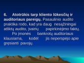 Auditas. Finansinės institucijos. Kompanijos perėmimas. 13 puslapis