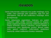 Auditoriui reikalingi dokumentai 13 puslapis