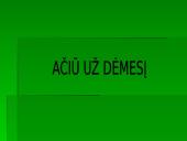 Auditoriui reikalingi dokumentai 15 puslapis