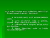 Auditoriui reikalingi dokumentai 9 puslapis