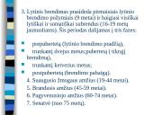 Augimas ir vystymasis 11 puslapis