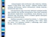 Augimas ir vystymasis 13 puslapis