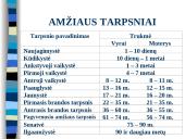 Augimas ir vystymasis 4 puslapis