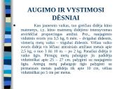 Augimas ir vystymasis 5 puslapis