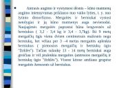 Augimas ir vystymasis 6 puslapis