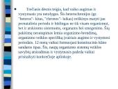 Augimas ir vystymasis 7 puslapis