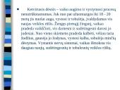 Augimas ir vystymasis 8 puslapis