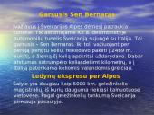 Austrija ir Šveicarija 6 puslapis