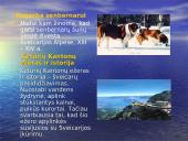 Austrija ir Šveicarija 8 puslapis