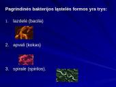 Bakterijų klasifikacija, dauginimasis, reikšmė bei sandara 11 puslapis