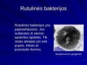 Bakterijų klasifikacija, dauginimasis, reikšmė bei sandara 12 puslapis