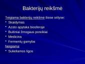 Bakterijų klasifikacija, dauginimasis, reikšmė bei sandara 16 puslapis