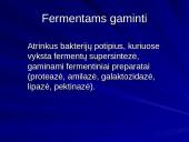 Bakterijų klasifikacija, dauginimasis, reikšmė bei sandara 19 puslapis