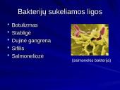 Bakterijų klasifikacija, dauginimasis, reikšmė bei sandara 20 puslapis