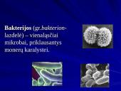 Bakterijų klasifikacija, dauginimasis, reikšmė bei sandara 3 puslapis