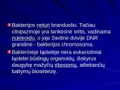 Bakterijų klasifikacija, dauginimasis, reikšmė bei sandara 5 puslapis