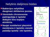 Bakterijų klasifikacija, dauginimasis, reikšmė bei sandara 7 puslapis