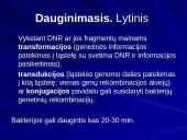 Bakterijų klasifikacija, dauginimasis, reikšmė bei sandara 8 puslapis